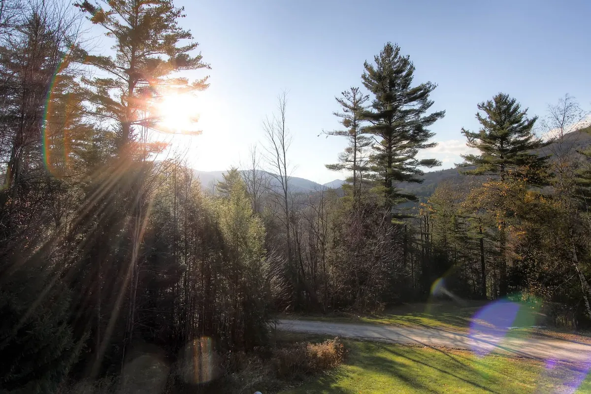 A beautiful exterior view where sunlight filters through tall trees to illuminate a lush green landscape, with majestic mountains rising in the background. The scene feels fresh and vibrant, inviting visitors to step out and enjoy nature.