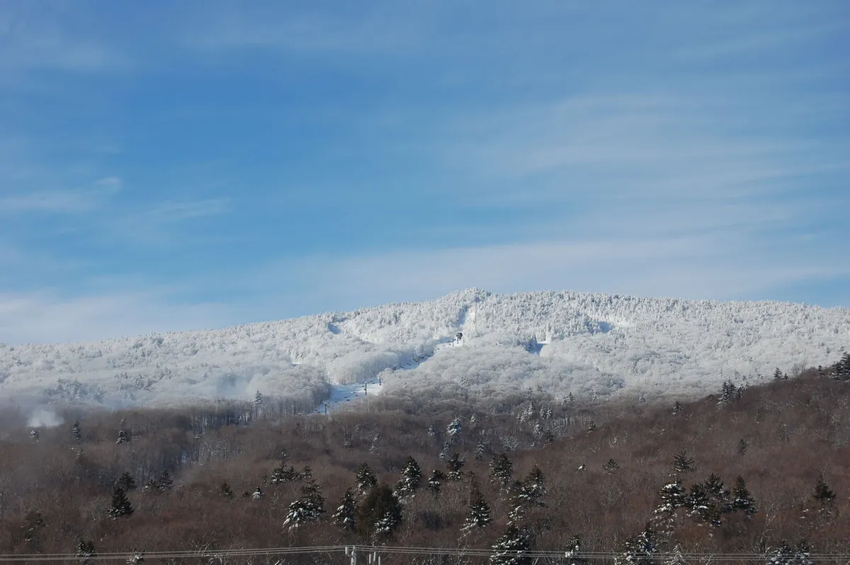 A panoramic view of snow-covered mountains, dense forests, and a clear blue sky. The expansive perspective hints at the grandeur of the region and the excitement of skiing or snowboarding down the slopes, while also suggesting the calm that comes after an active day outdoors.